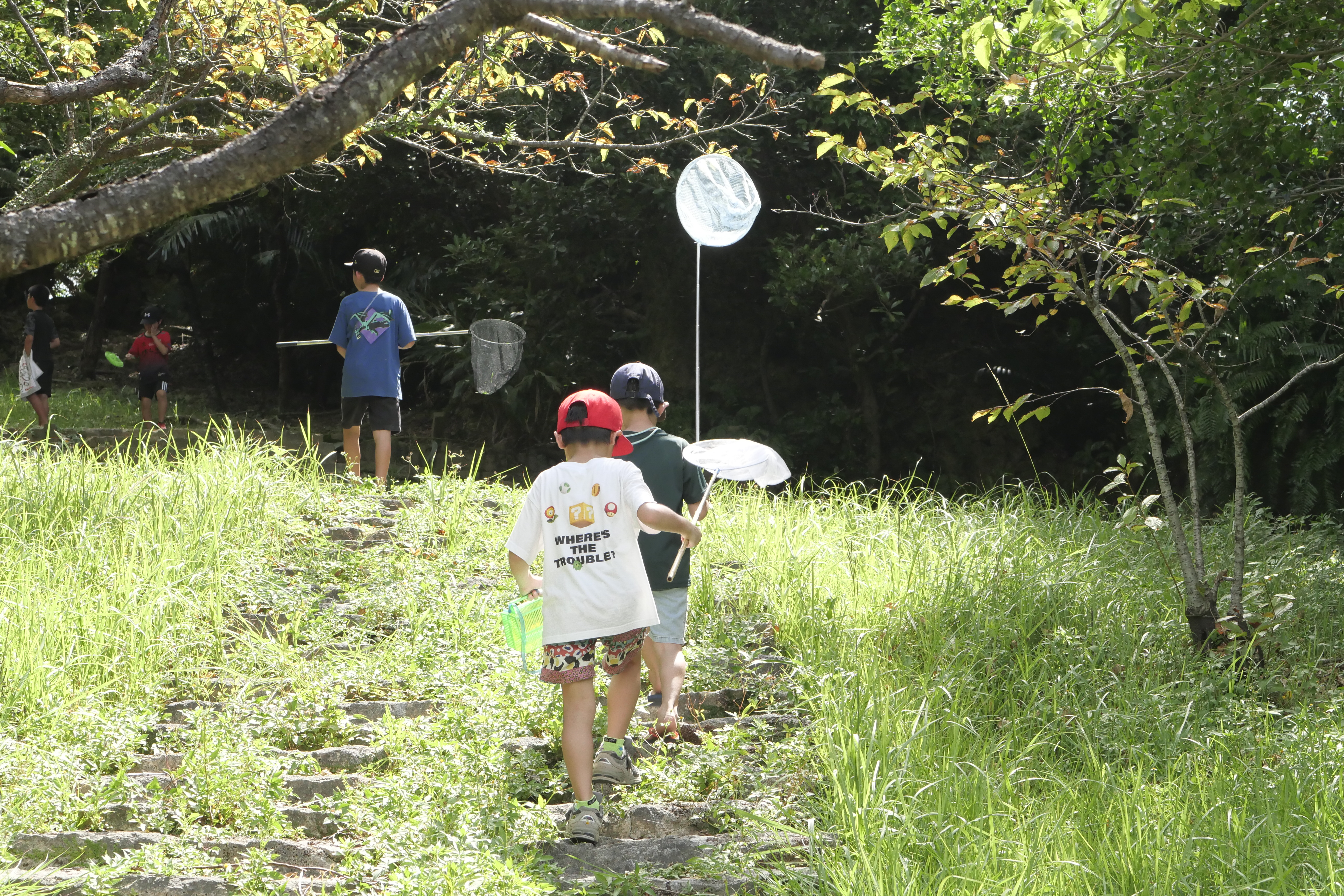 浦添市の公園で虫とり網を持ち階段をのぼる子どもたち
