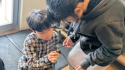 発達の視点から見た療育効果
